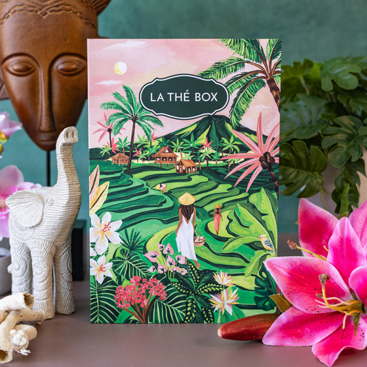 Bali, L’Île des Dieux