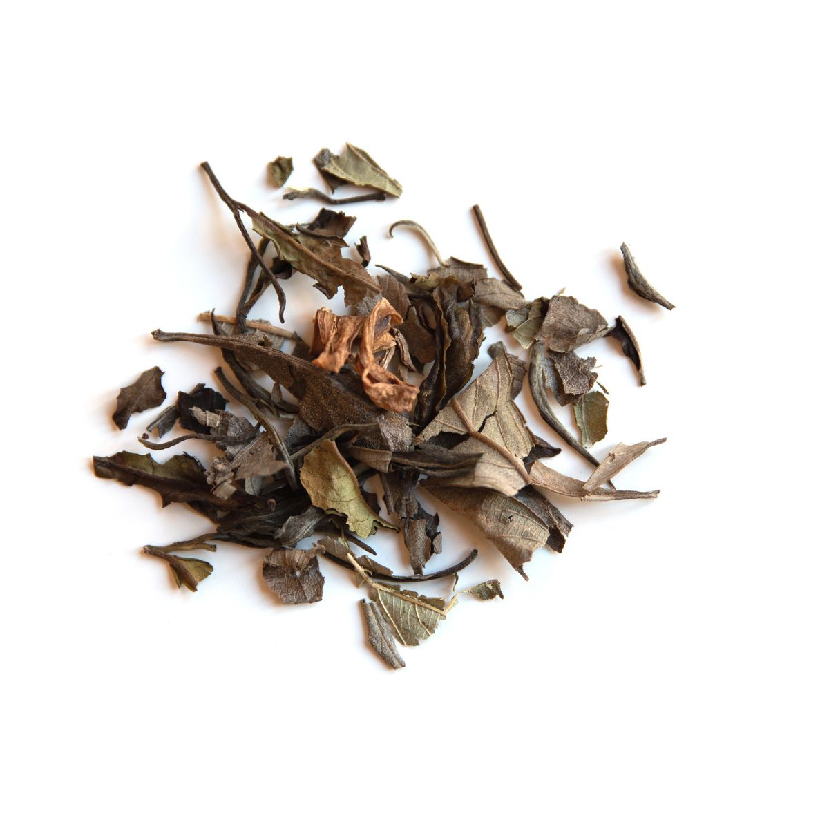 Soundia T - Maison Keino X Lydia Gautier - La Thé Box