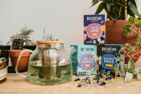 Théière avec des thés Biohême