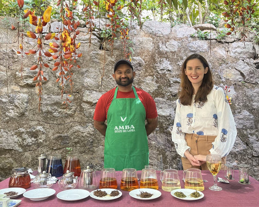 Karma Tea Co. - Couverture - Alison Tran