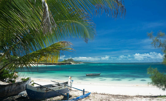 Madagascar : Un voyage au cœur d'une île paradisiaque - La Thé Box