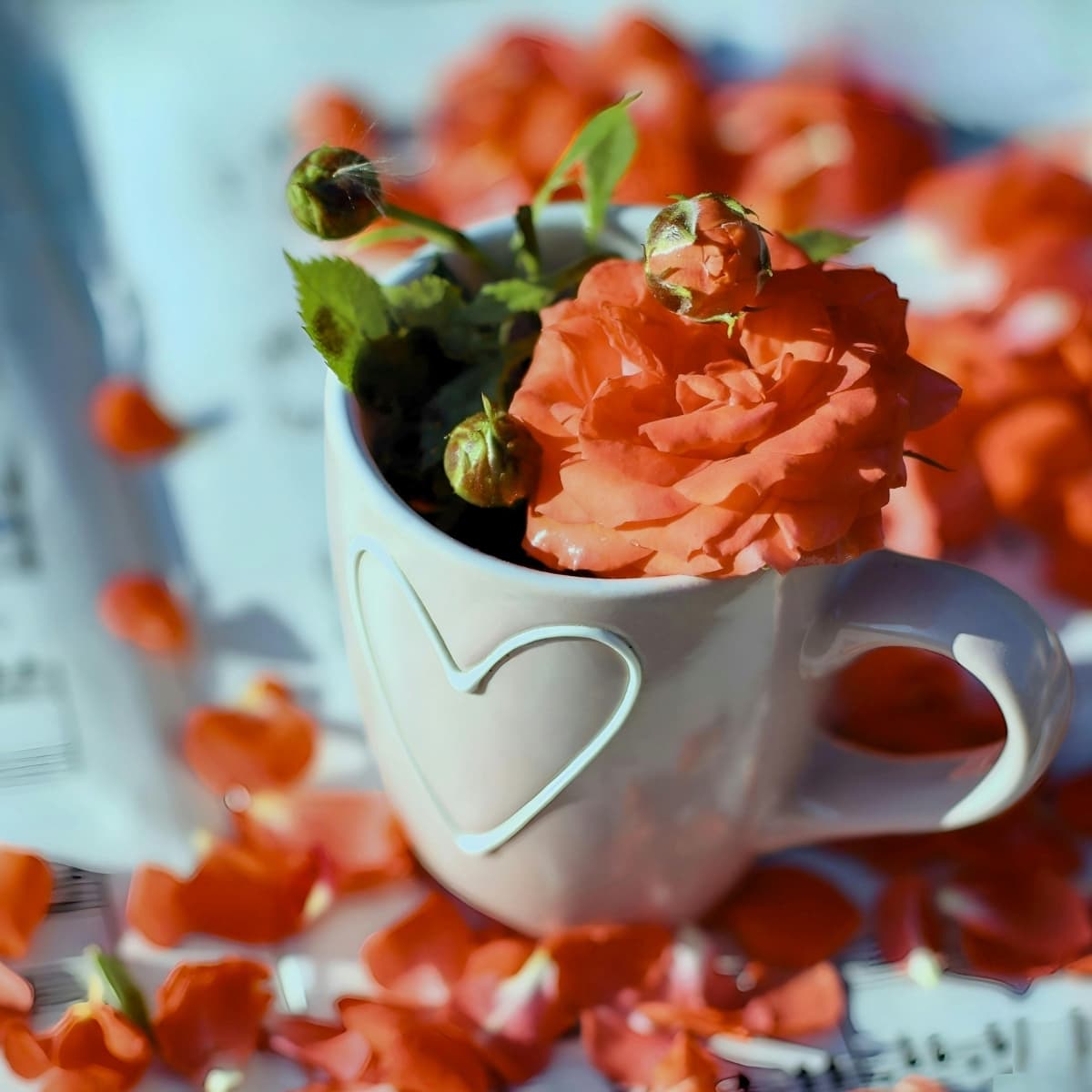 Saint-Valentin - La Thé Box