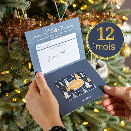 Carte cadeau 1 an de voyage