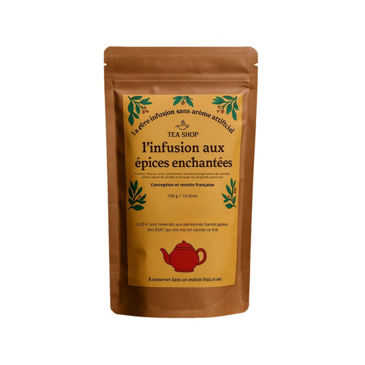 Infusion aux Épices Enchantées de TeaShop vrac 100g.