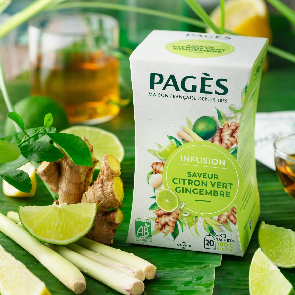 Boîte 20 infusettes Infusion Saveur Citron Vert Gingembre Bio de Pagès