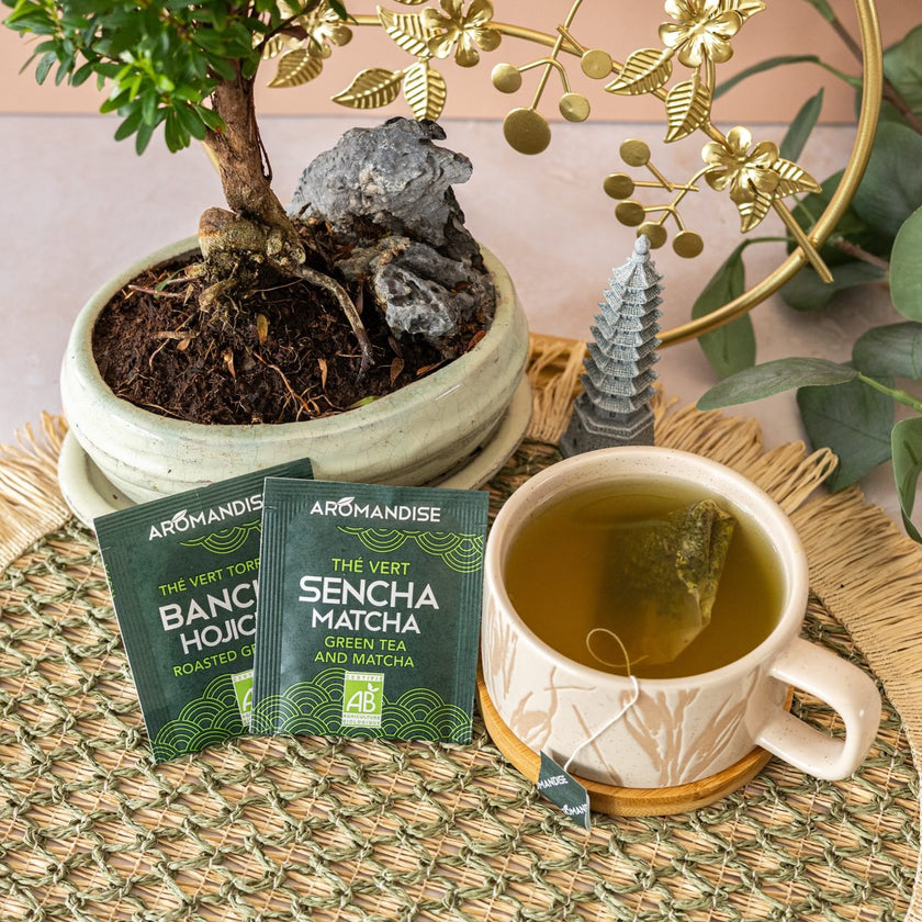 Sélection Infusettes Aromandise — Esprit du Japon