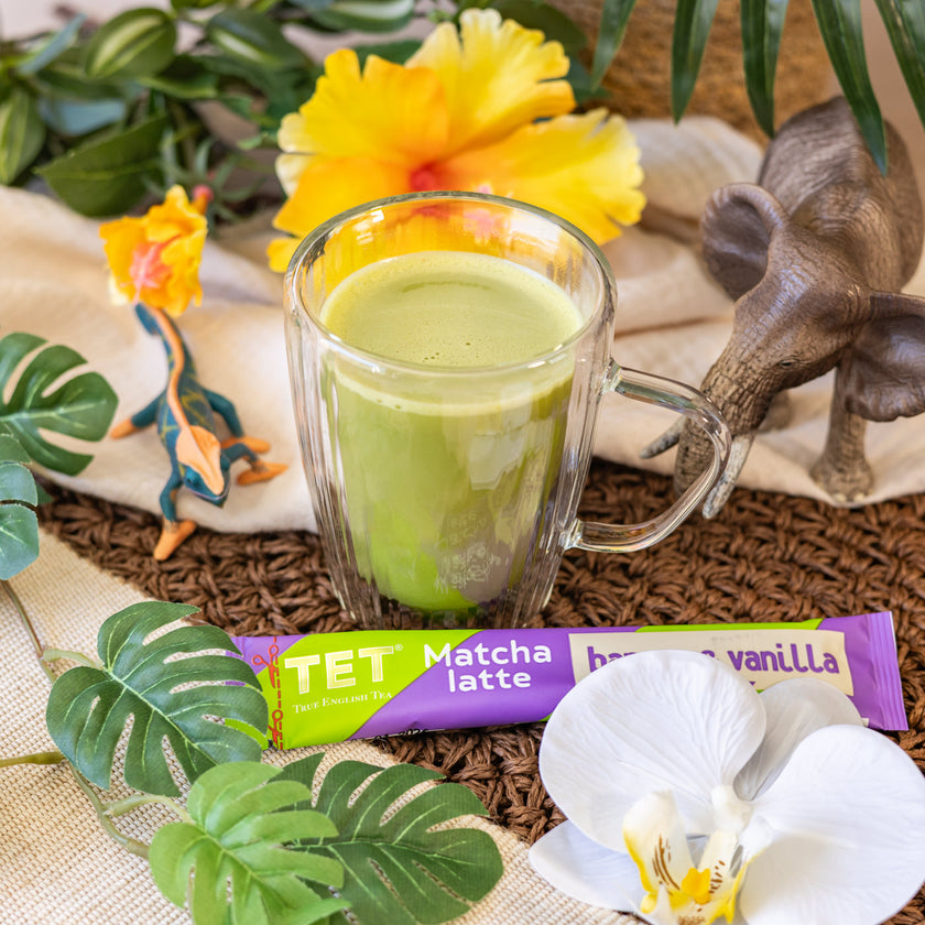 Sélection Infusettes TET — Jungle Tropicale