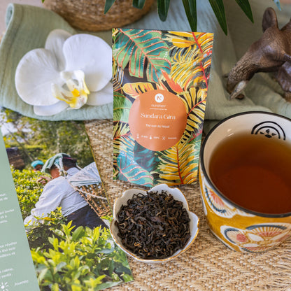 Jungle Tropicale