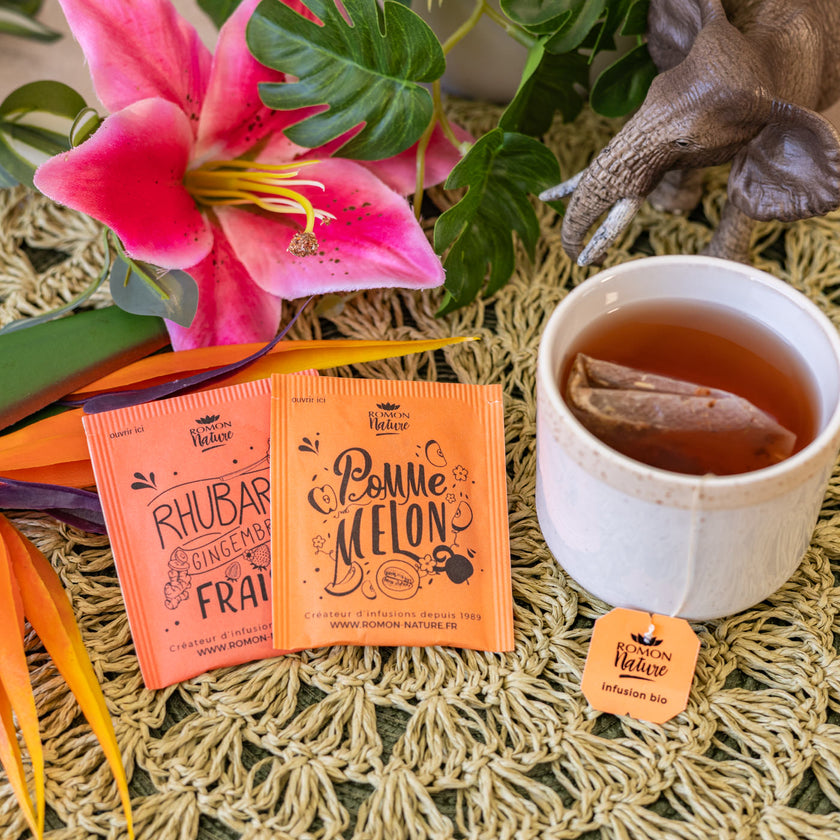 Infusettes Romon Nature — Coffret - Jungle Tropicale avec Grand Verre