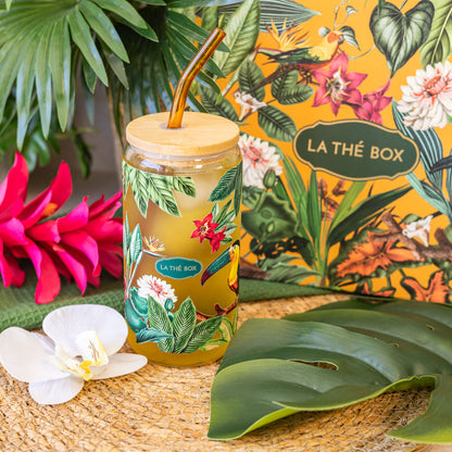 Coffret - Jungle Tropicale avec Grand Verre