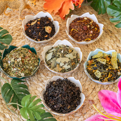 Coffret - Jungle Tropicale avec Grand Verre