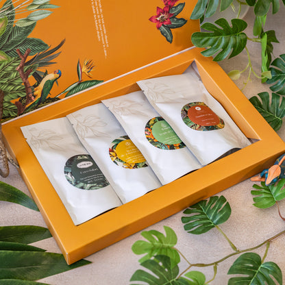 Box Essentielle - La Jungle Tropicale