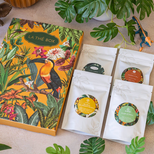 Box Essentielle - La Jungle Tropicale