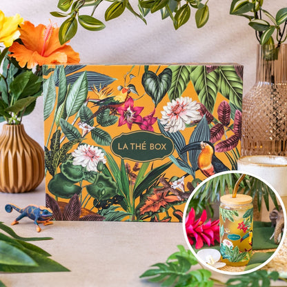 Coffret - Jungle Tropicale avec Grand Verre