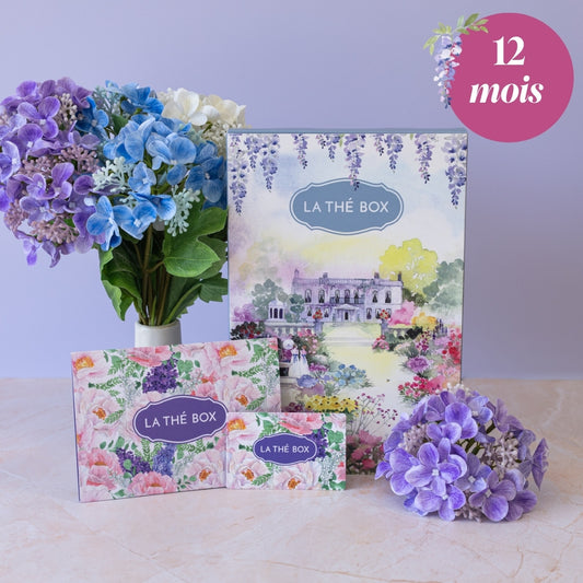 Carte cadeau 1 an de voyage